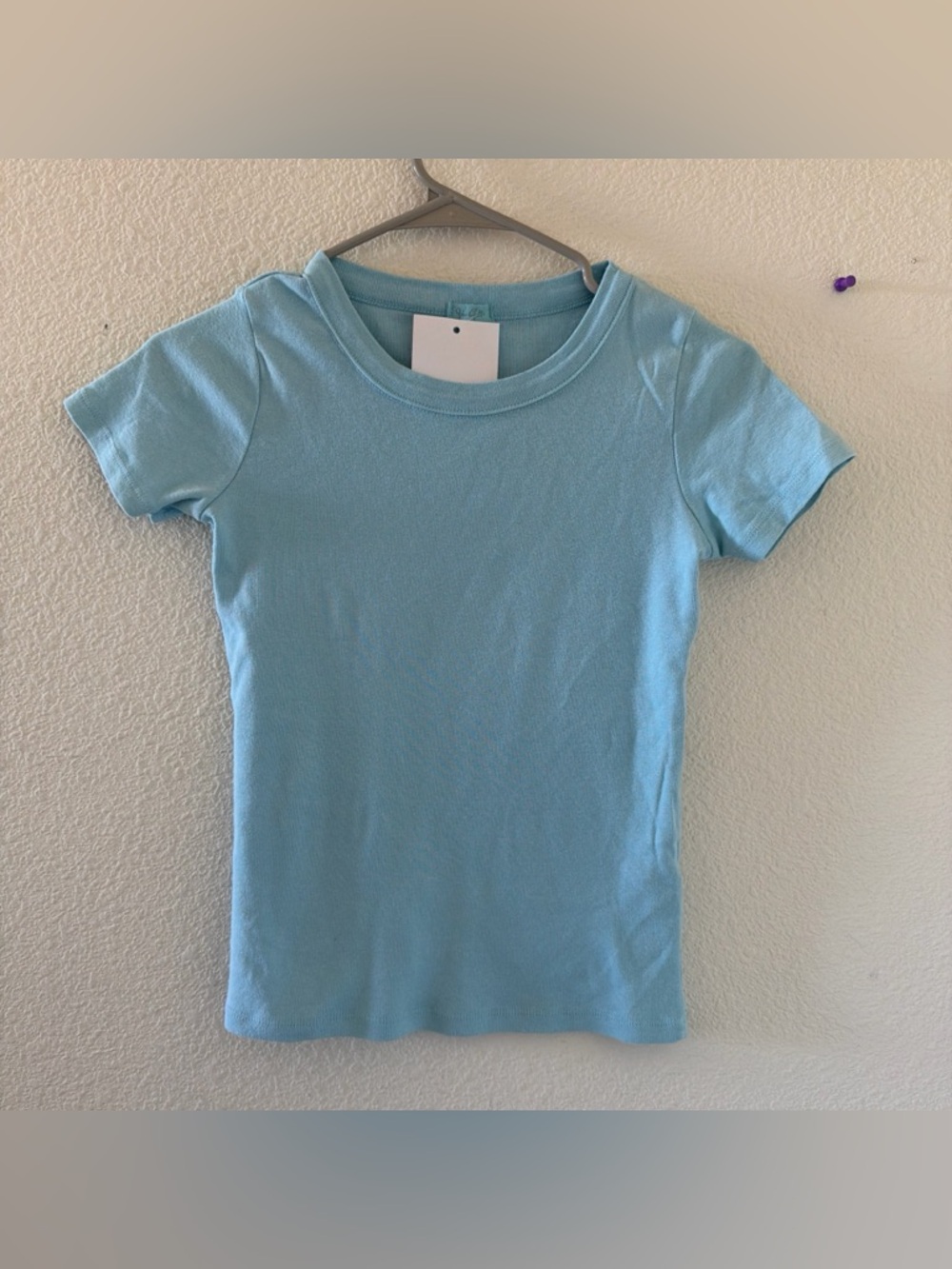 Brandy melville hailie pastel blue hailie top